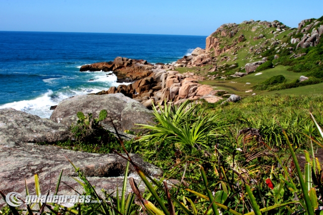 Guarda do Embaú - Prainha | Foto de g